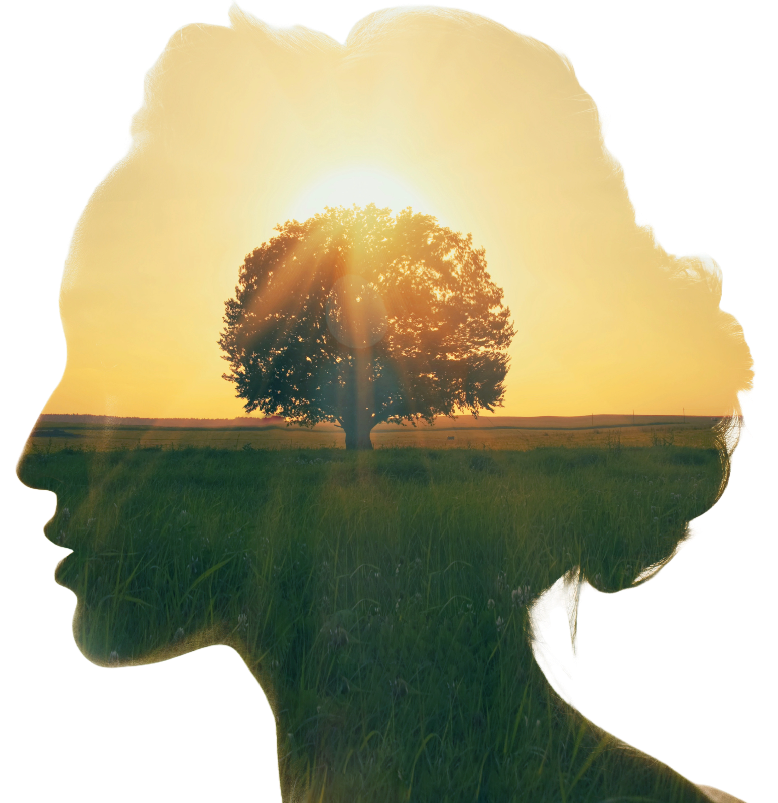 Ein Kopf mit der Natur und dem Sonnenaufgang im Inneren. Innerer Frieden durch ein emotionsfokussiertes Coaching in Bonn bei Salmi Coaching