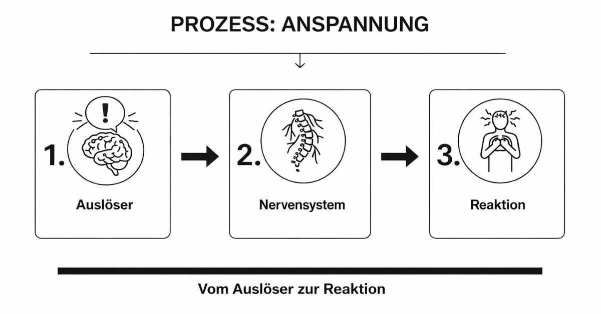Das Bild zeigt einen dreistufigen Prozess der Anspannung: Signal (Gehirn), Nervensystem (Wirbelsäule) und Symptom (schmerzende Figur).